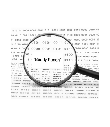 "Buddy Punch" Nedir?